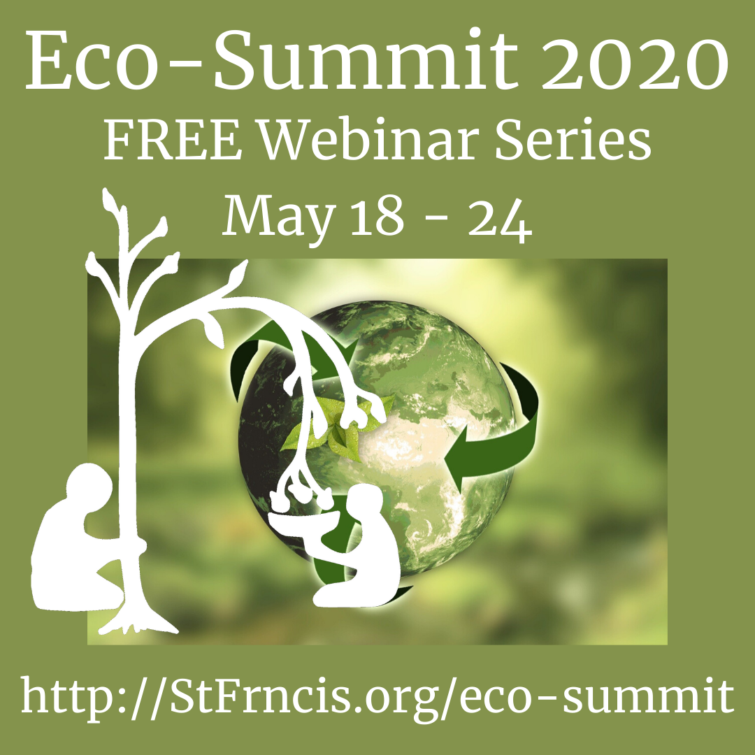 Instagram Post Graphic for Eco-Summit 2020